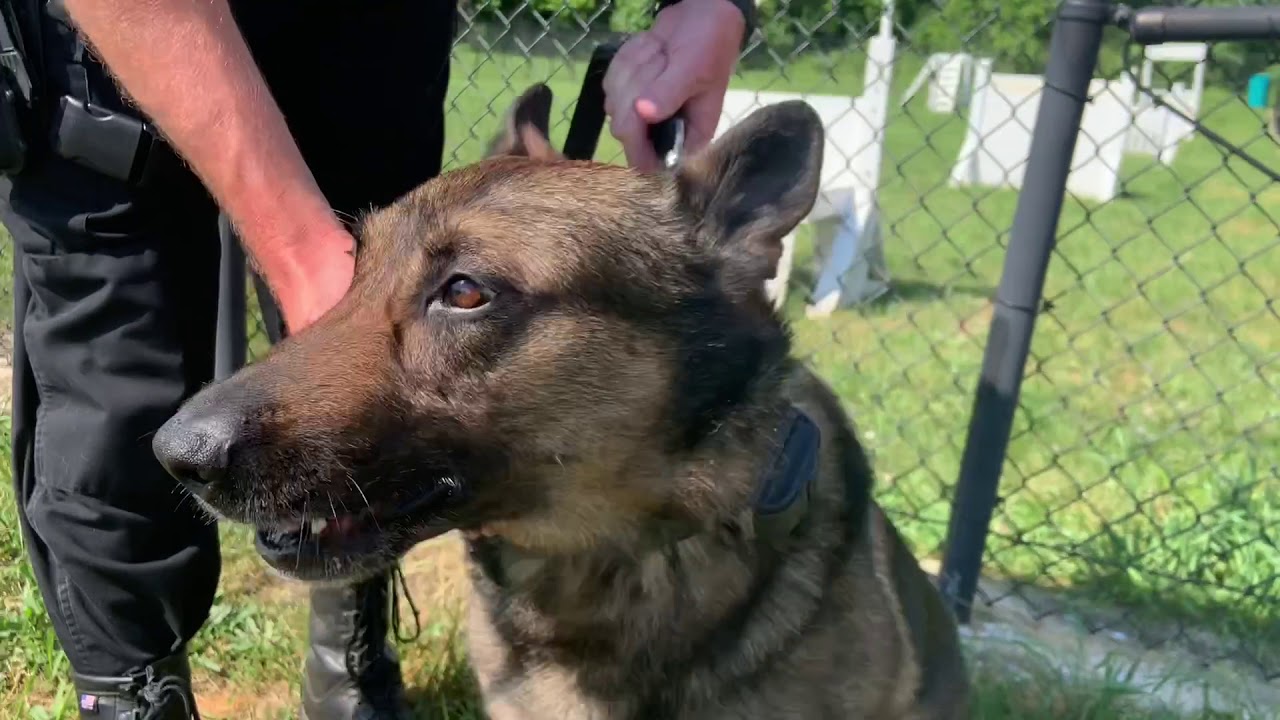 Maryland-National Capital Park Police: Patrol K 9