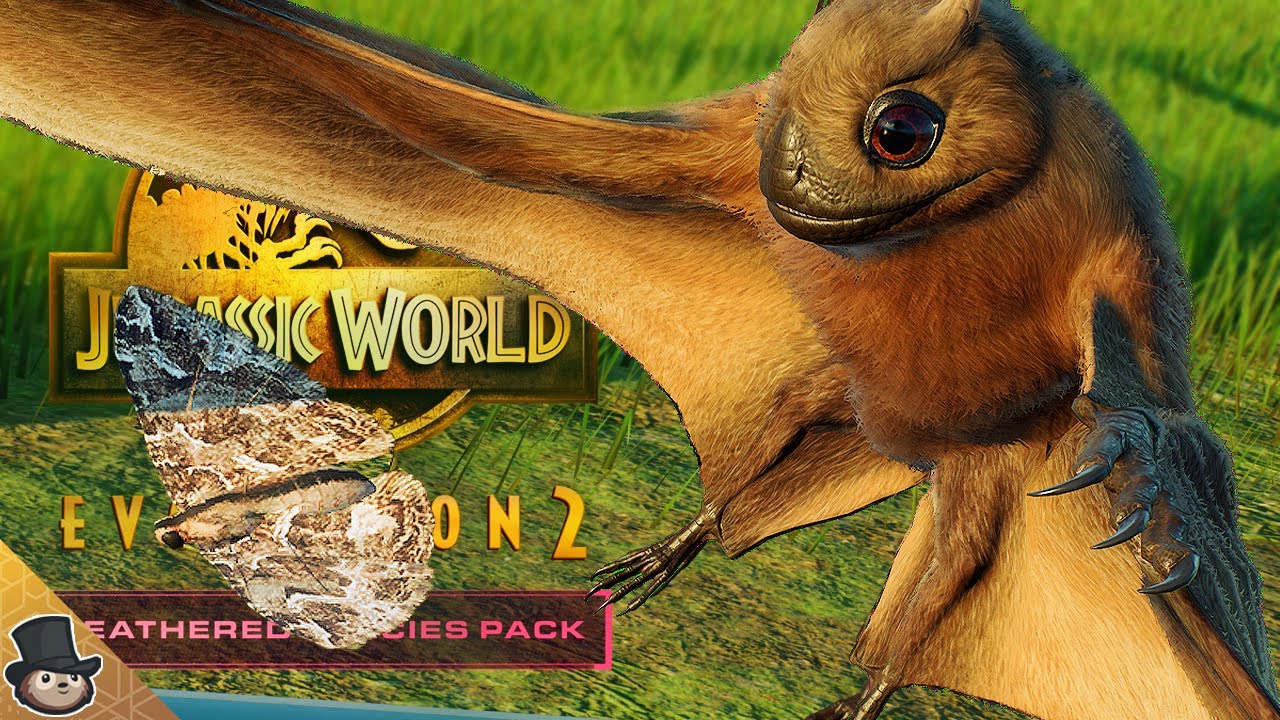 THE INSECT HUNTER! Jehelopterus Showcase - All Animations, Insect Hunting, Skins & More