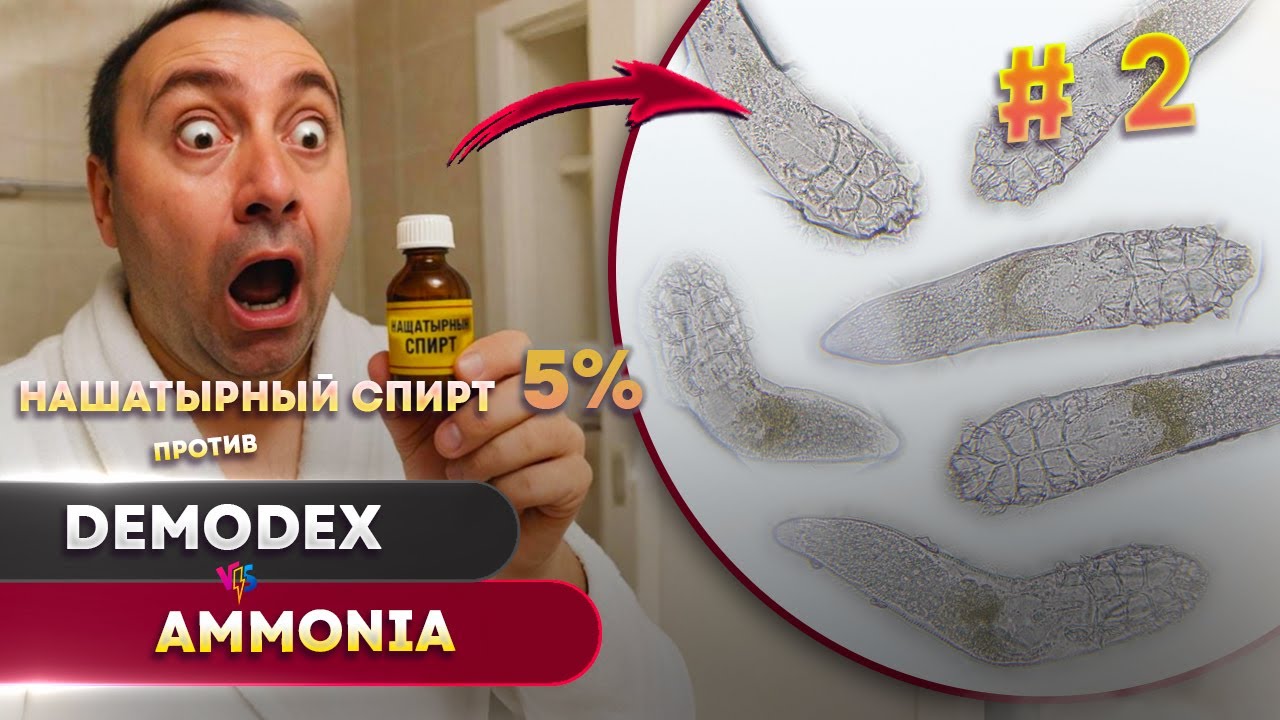 Клещ Демодекс против нашатыря 5% — И этого хватило! #2