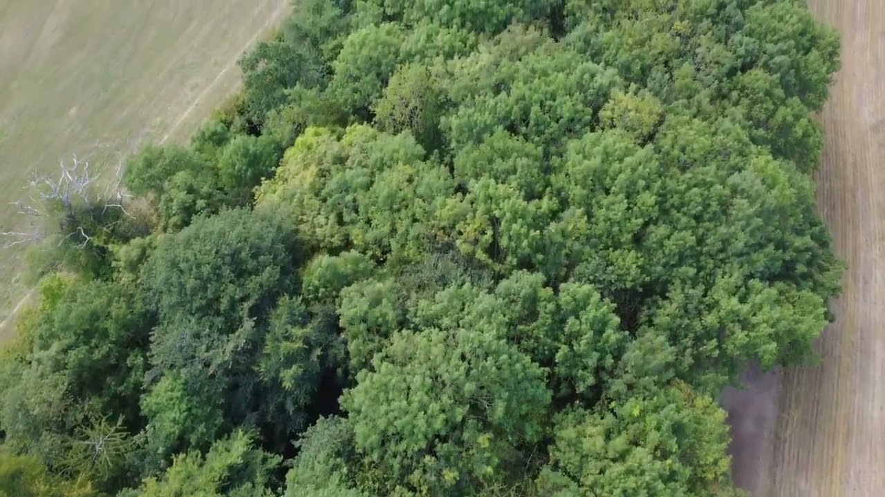 Haughmond hill  DJI mini 4k drone footage 