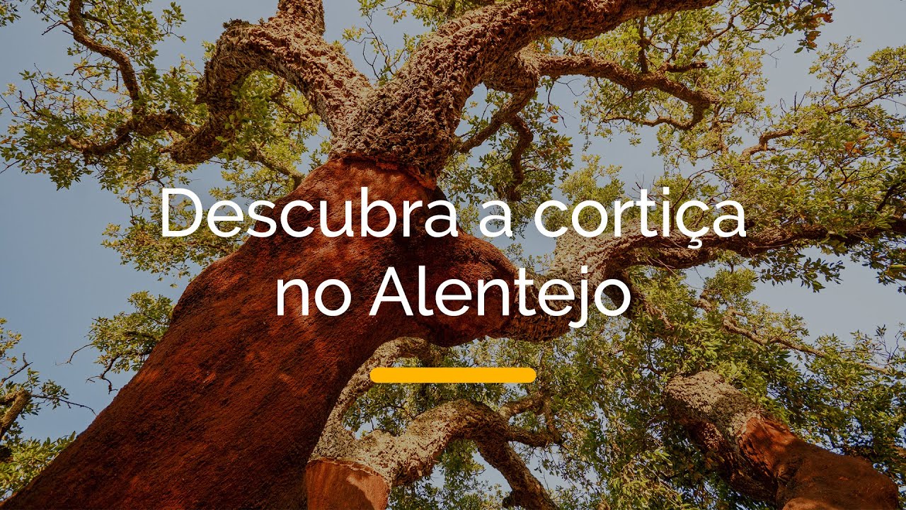 O Alentejo é assim – Descubra a cortiça