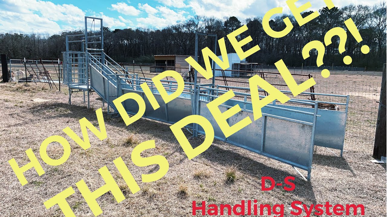 You Won&rsquo;t Believe The Deal We Got!! D-S Livestock Equipment Handling System J