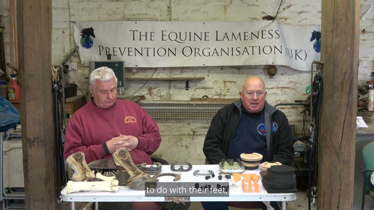 What to do if your horse has Laminitis?