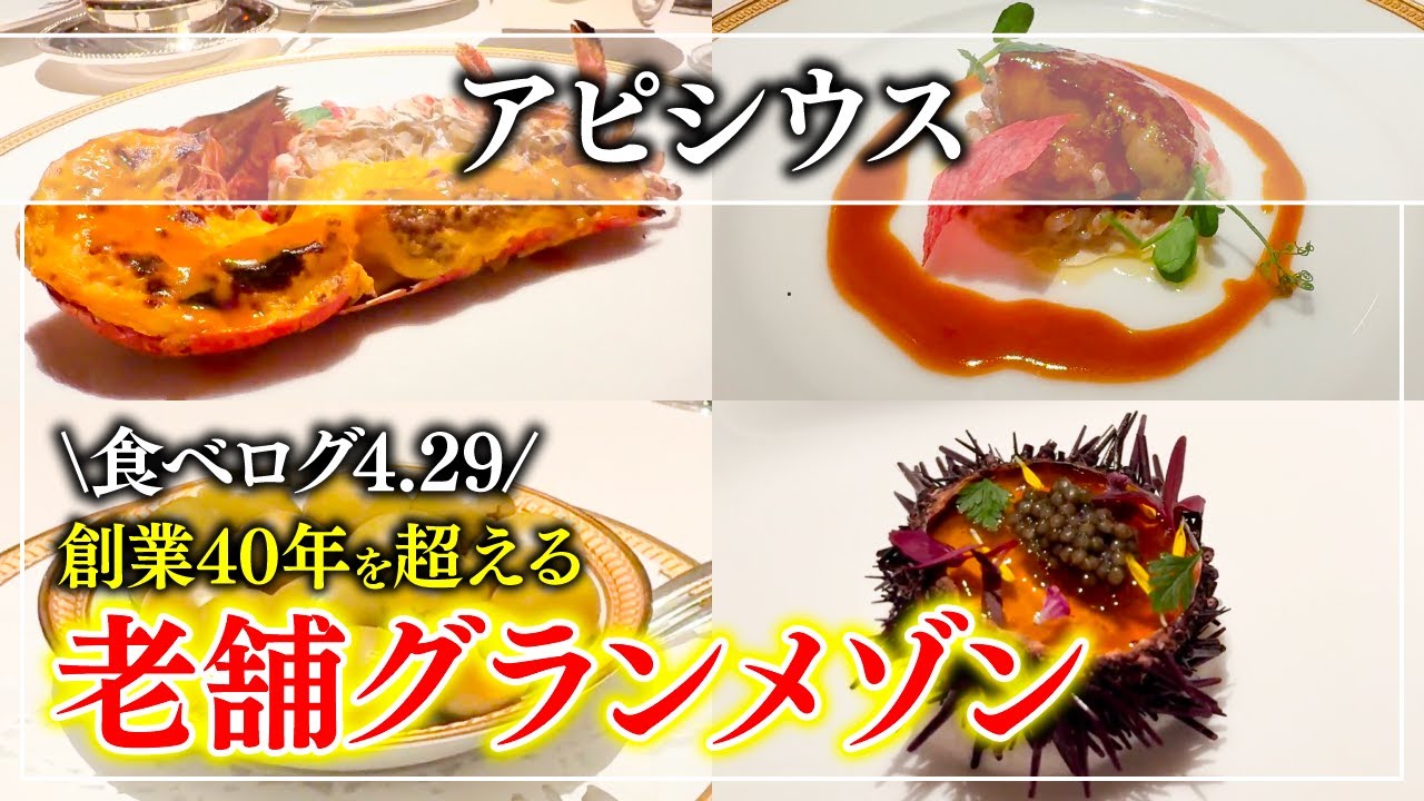 【フレンチ】食べるログ4.29！記念日におすすすめ「アピシウス」食べログフレンチTOKYO百名店受賞した名店【東京グルメ】