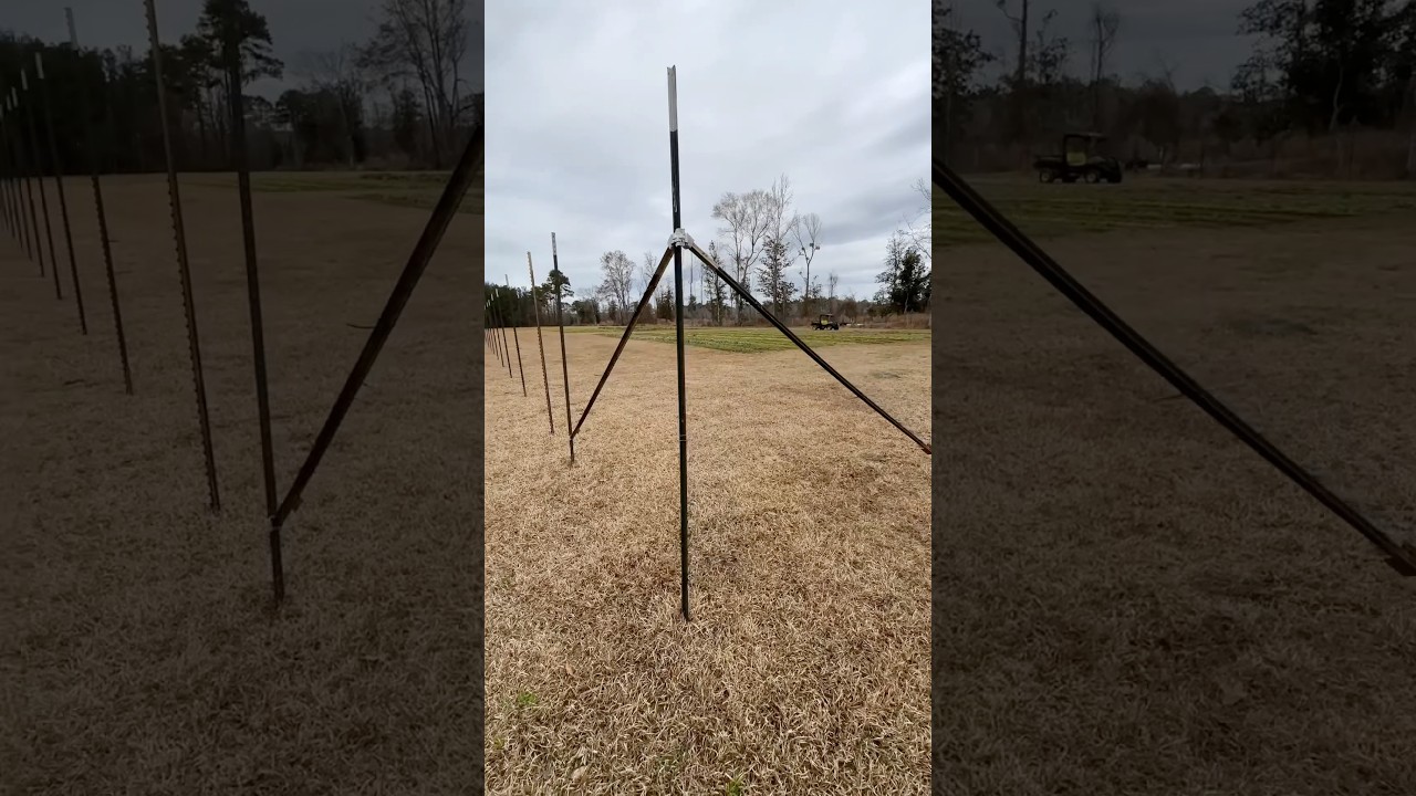 8 ft. Deer fence with t-posts UPDATE #tpost #vegetablegarden #farming #deerfence