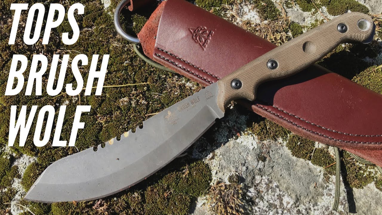 TOPS Brush Wolf: Survival, Bushcraft Knife with Nessmuck-Style Blade,  Sawback, 1095 Steel