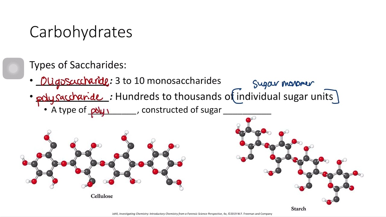 CHEM& 110: Types of Biomolecules
