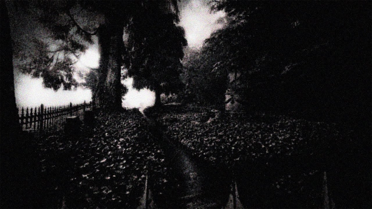 [FREE] Neurofunk/DnB Type Beat 