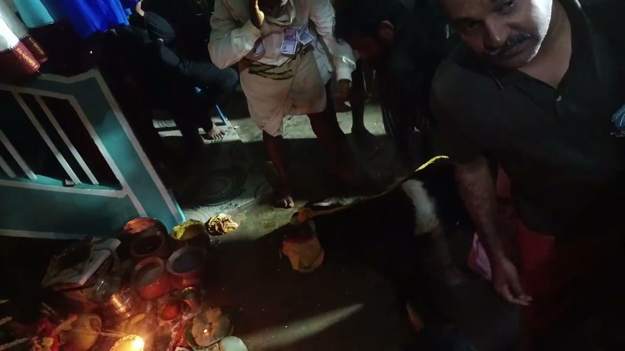 Chinni Krishnamurthy 9704461298