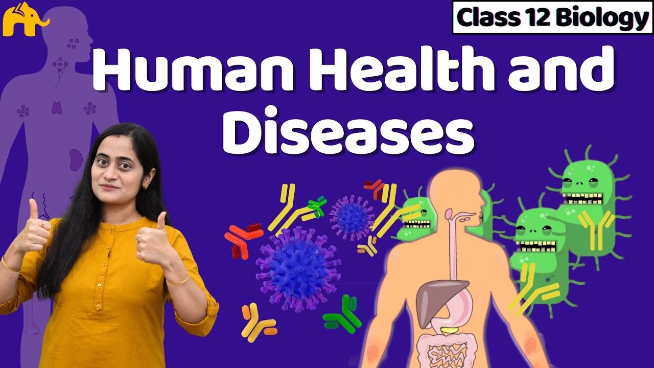 Human Health and Diseases Class 12 | Biology NCERT Chapter 7  One Shot | CBSE NEET