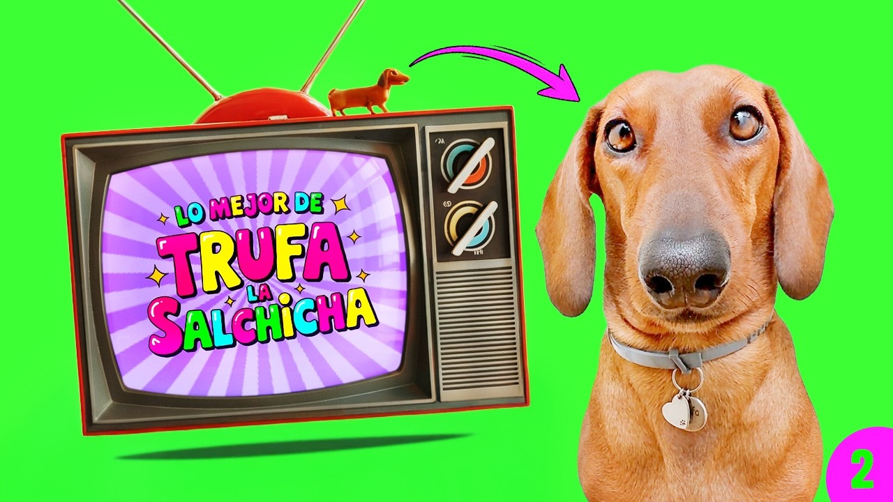 Lo MEJOR de Trufa la Salchicha! 🌭 | Salchi-Visi&oacute;n Ep:2 💖