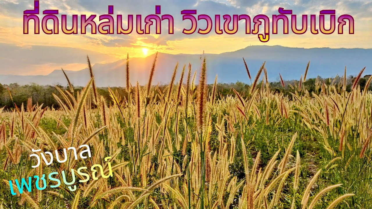 EP800.ที่ดินหล่มเก่า วิวเขาภูทับเบิก พร้อมบ้านพัก  ต.วังบาล ติดคอนกรีต สนใจโทร 0981473498-0887902134