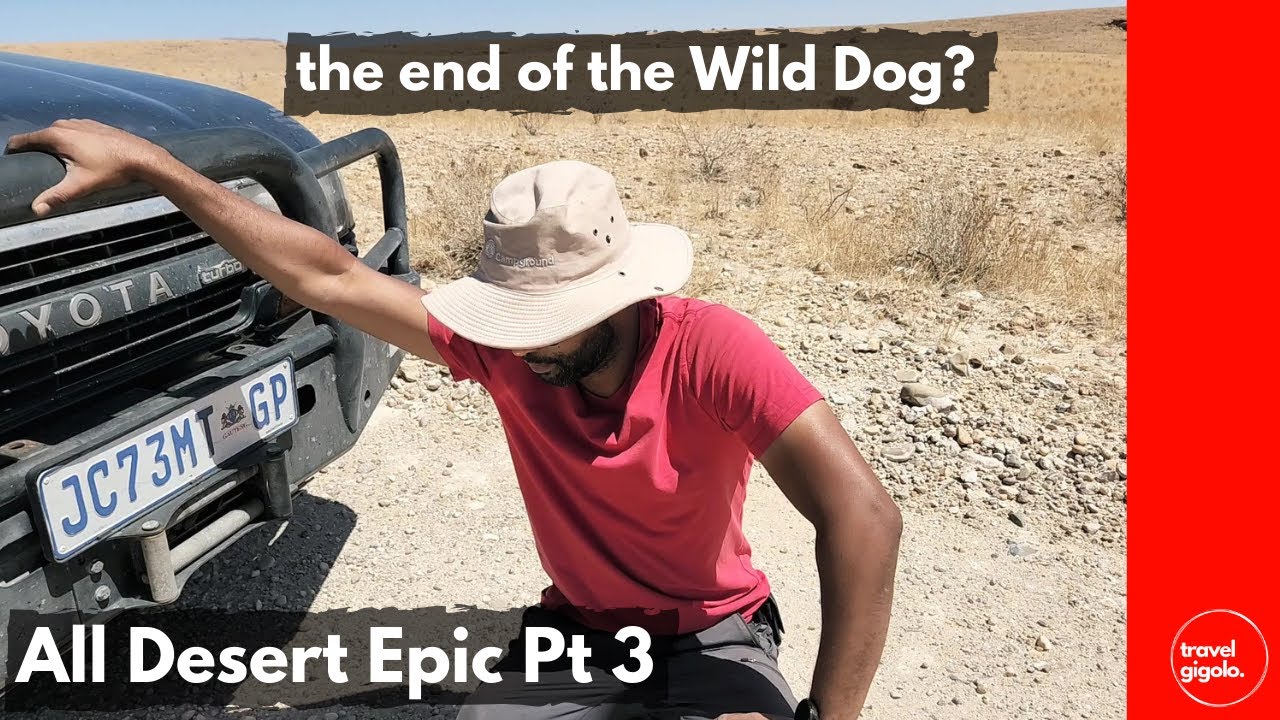 All Desert Epic Part 3 - Is it the End of the Road for the Wild Dog? Namib to Kalahari (Namibia)