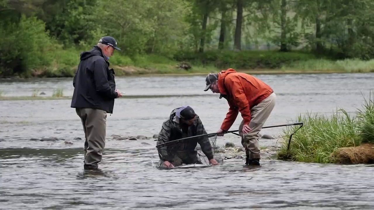 Salmon fishing in Norway, flyfishing  | Aaroy river 2019 (Premiere)