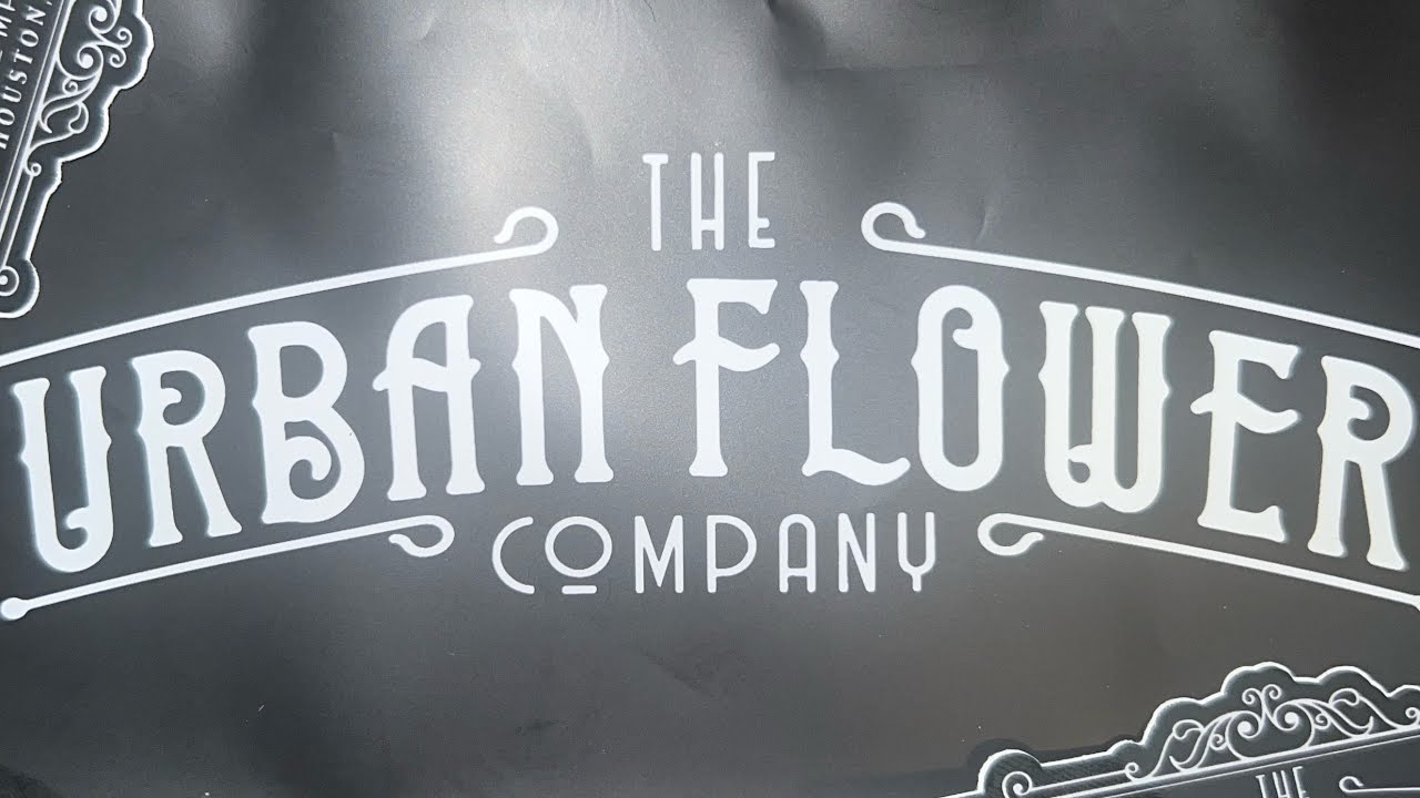 The urban flower company htx BOOF OR BUSSIN? King Louie XIII