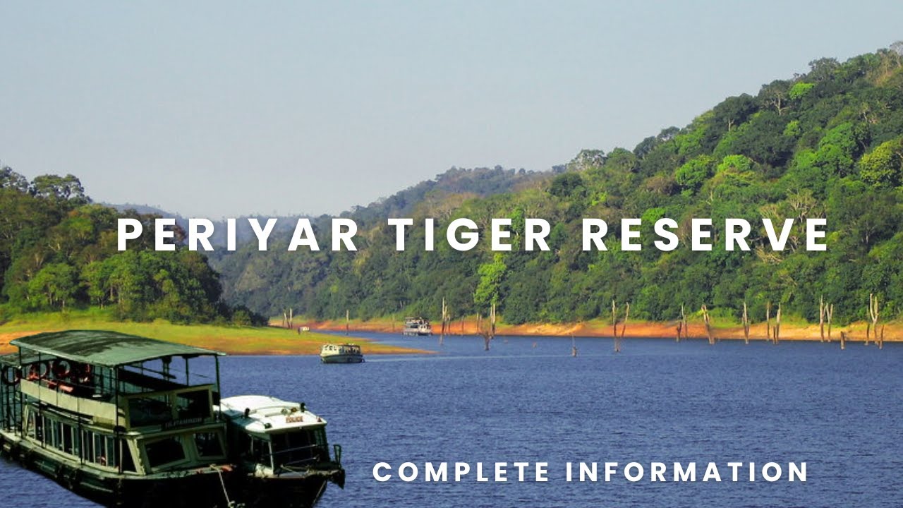 Periyar Tiger Reserve Boating Thekkady | Periyar National Park Boating