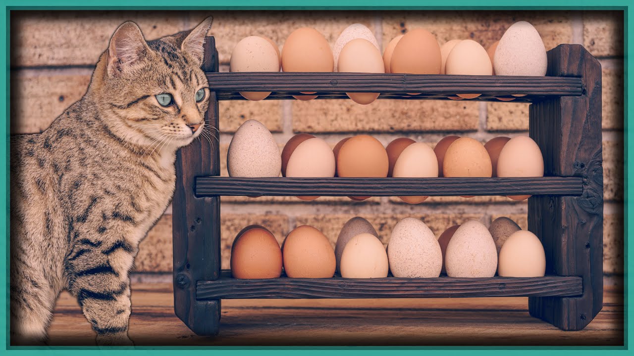 DIY Wooden Egg Holder - How to Make an Egg Rack