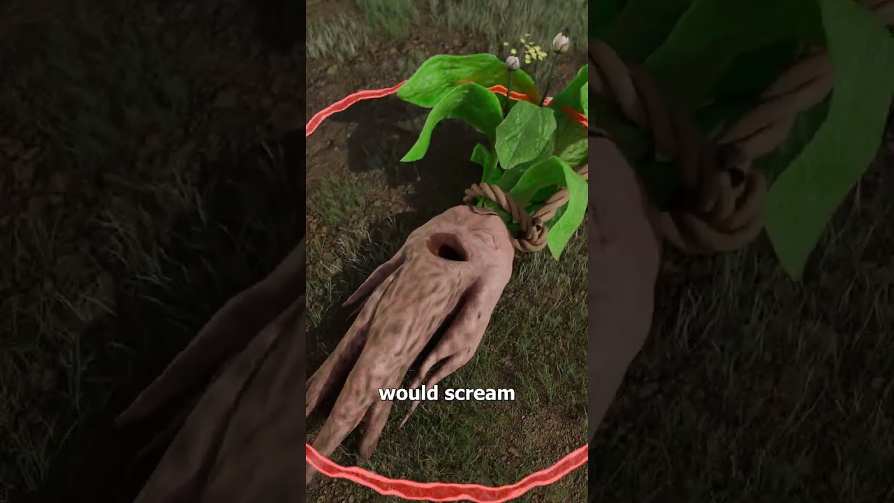 Легенда о кричащем растении 😱