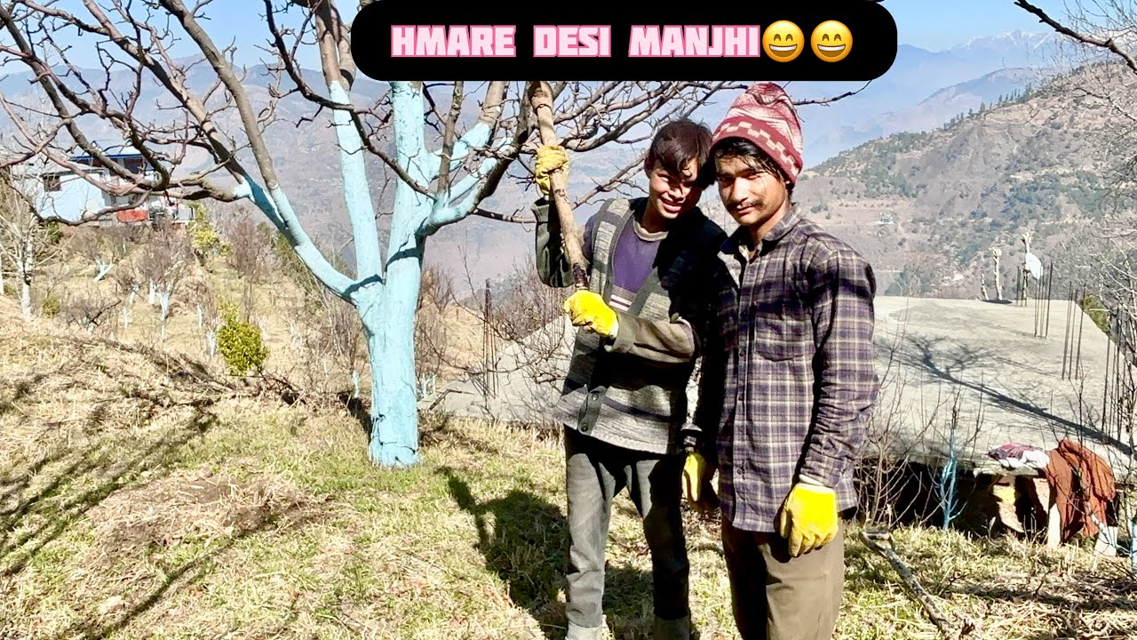 Hamare desi manjhi😄😄||village life||rohit thakur vlogs||