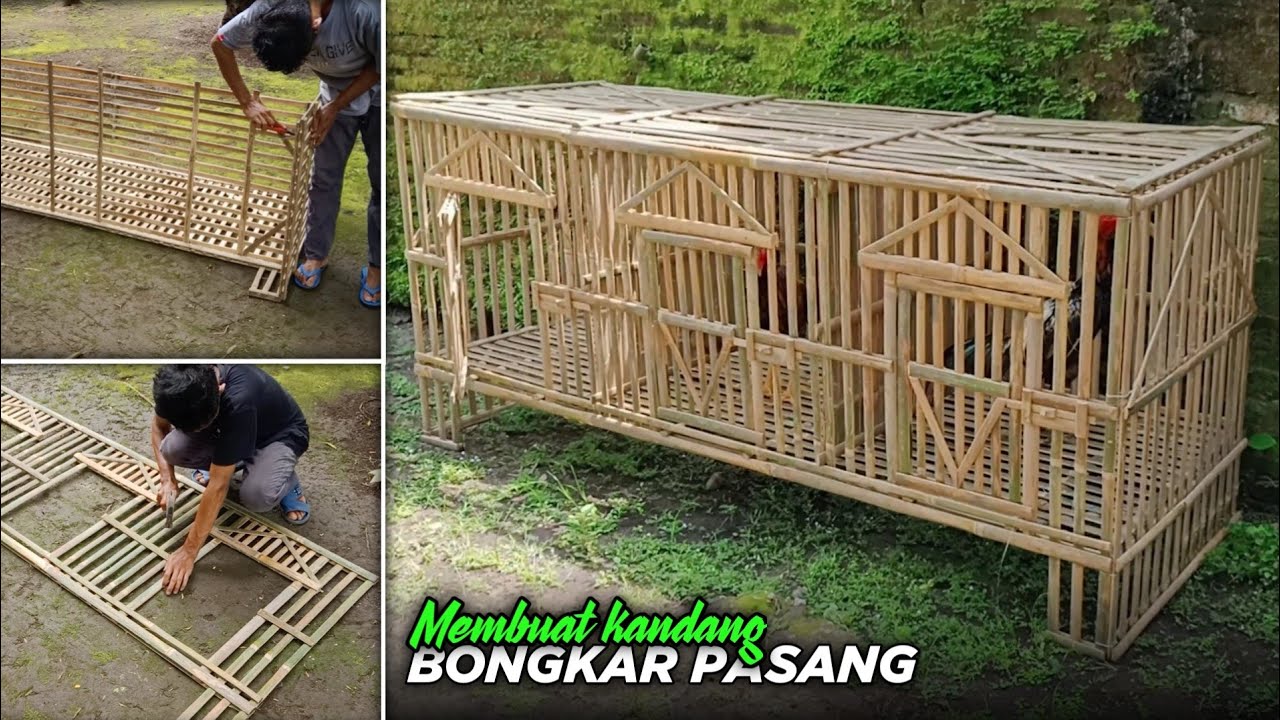 Membuat KANDANG AYAM JAGO dari bambu | bongkar pasang