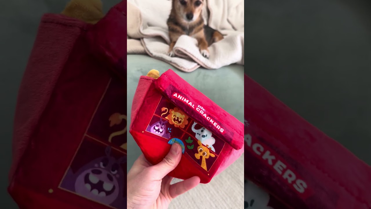 Cute puppy playing with animal crackers 