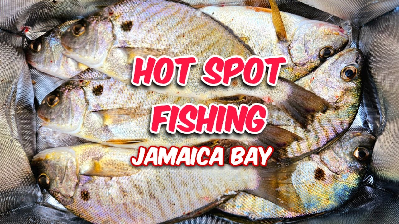 Awesome Spot Fishing at Jamaica Bay NYC