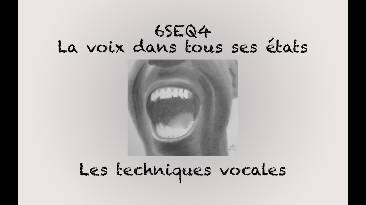 [CAPSULE PEDAGOGIQUE] 6SEQ4_4_Les techniques vocales