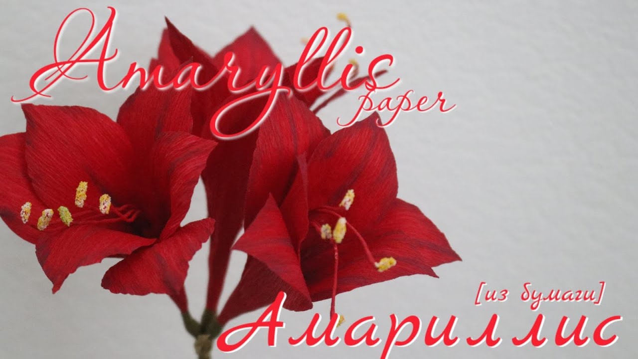 Как сделать из бумаги амариллис?/ Paper amaryllis