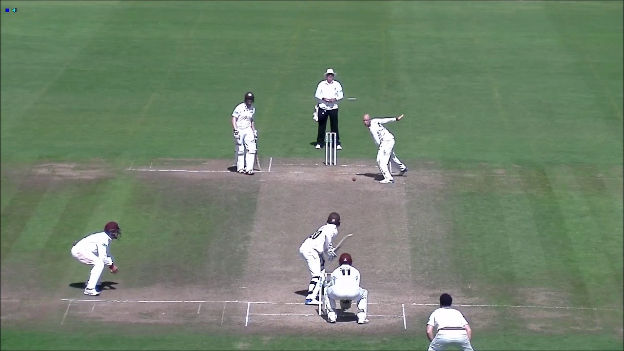 JACK LEACH: ALL 51 WICKETS IN 2017 [HD]