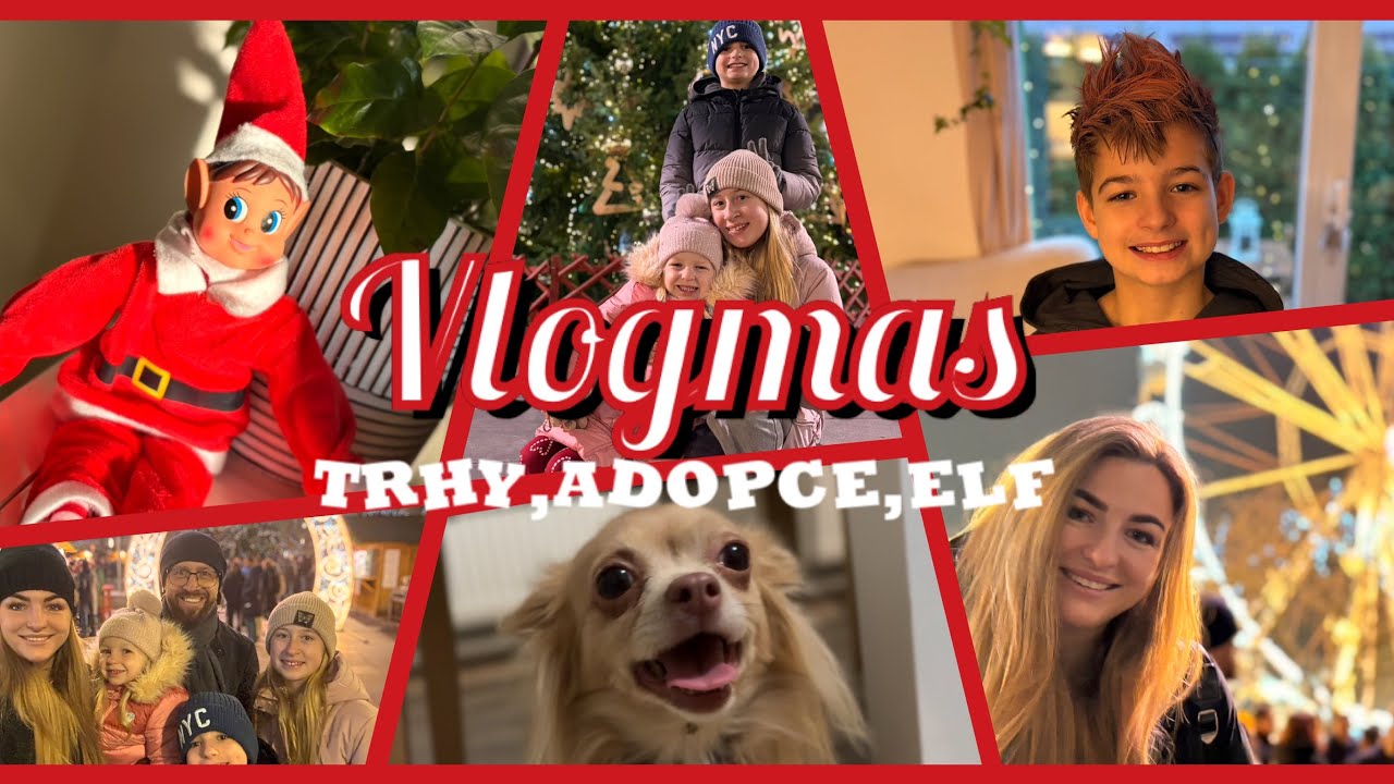 VLOGMAS| Adopce pejska, trhy Ostrava, nakupování
