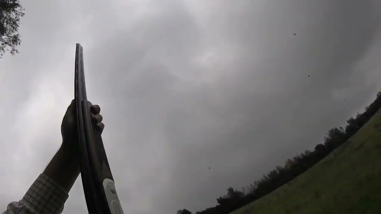 PARTRIDGE SHOOTING (A great day with a great team)