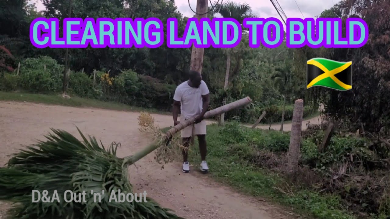 Clearing Land To Build On A Well Fruited Property In Jamaica 🇯🇲