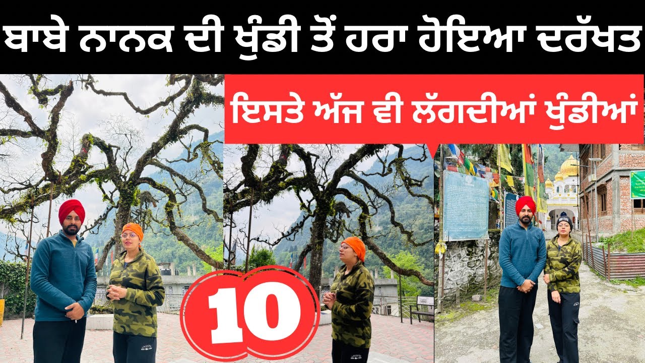 ਬਾਬੇ ਨਾਨਕ ਦੀ ਖੁੰਡੀ ਤੋਂ ਹਰਾ ਹੋਇਆ ਦਰੱਖਤ Chungthang Gurdwara Sahib| Punjabi Travel Couple North Sikkim