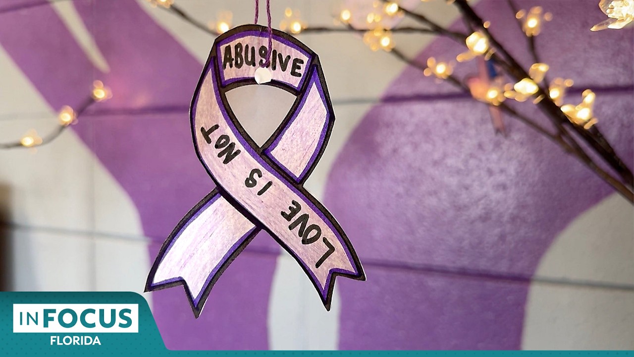 How Florida is trying to curb domestic violence | In Focus