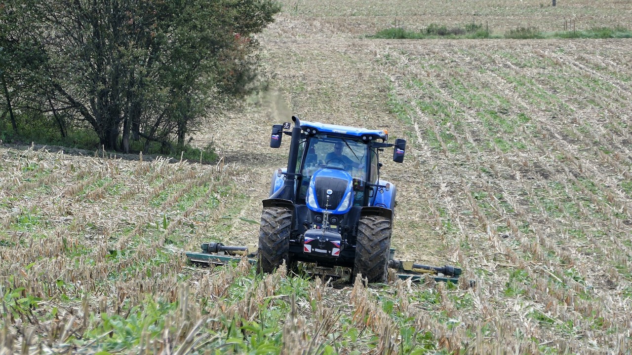 Мульчирование стерни на склоне и в сырую погоду с New Holland T7.290 + Spearhead 620 Multicut