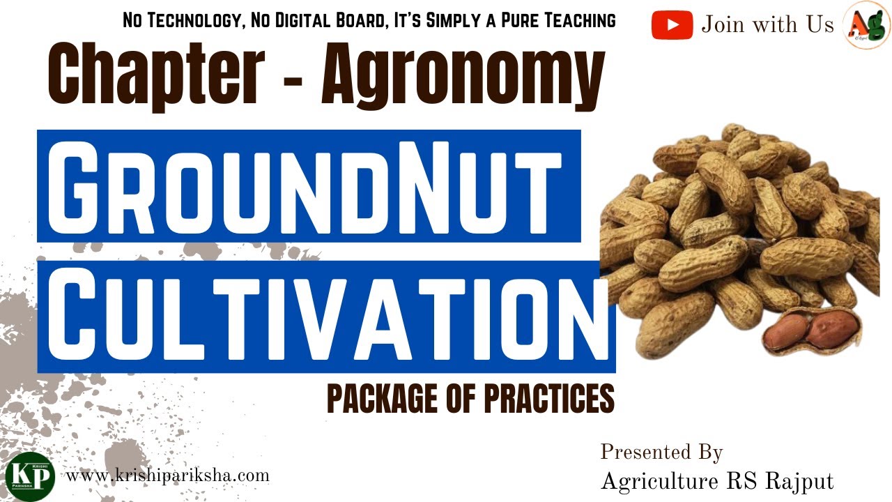 Groundnut cultivation | Agronomy | Crop Production | Oilseeds | IBPS AFO Mains | UPCATET | MCAER