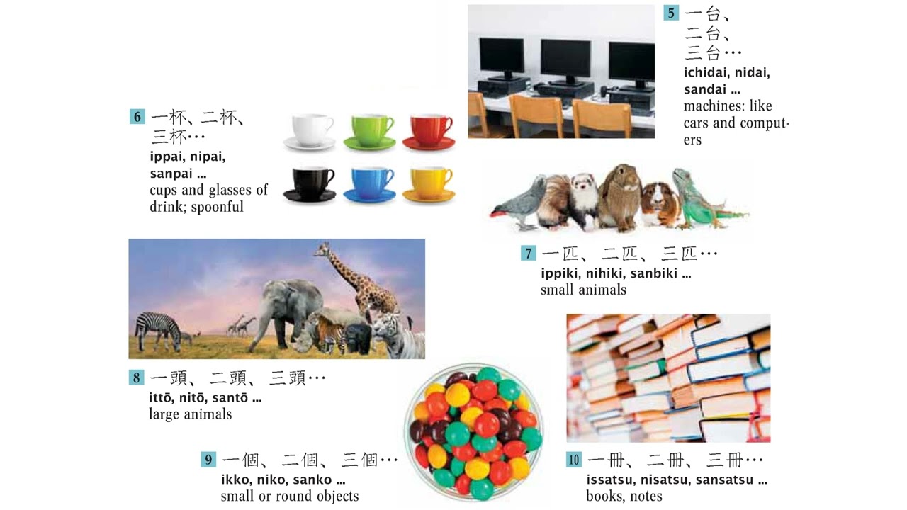 How to Counting Number Words 助数詞 in Japanese Language