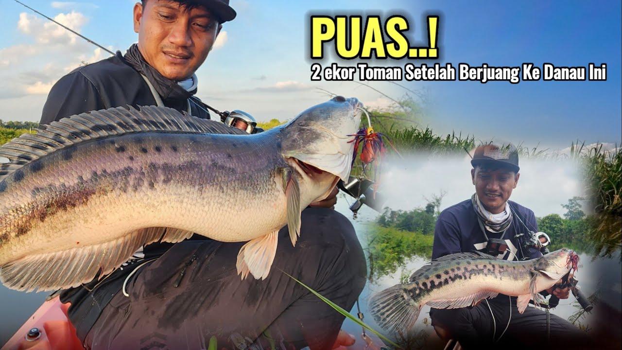 TAK DI SANGKA..! Perjuangan trip toman di spot potensi membuahkan strike yang memuaskan