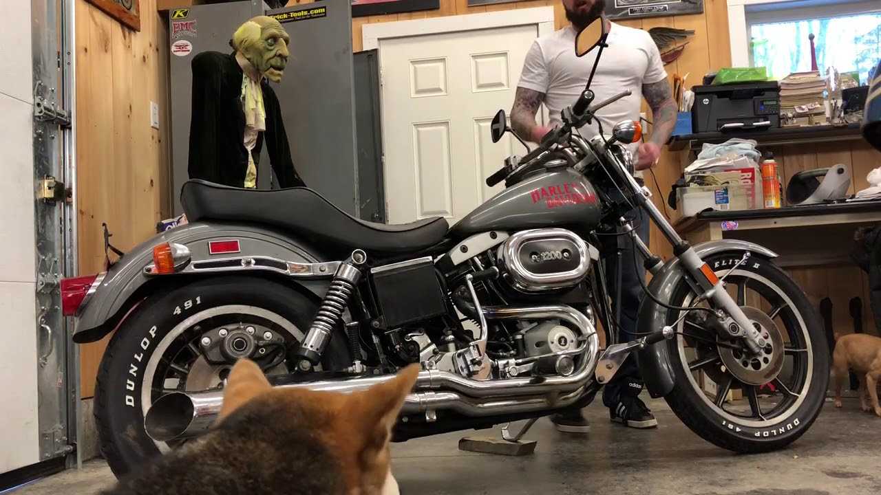 1978 fxs Lowrider.  Original paint