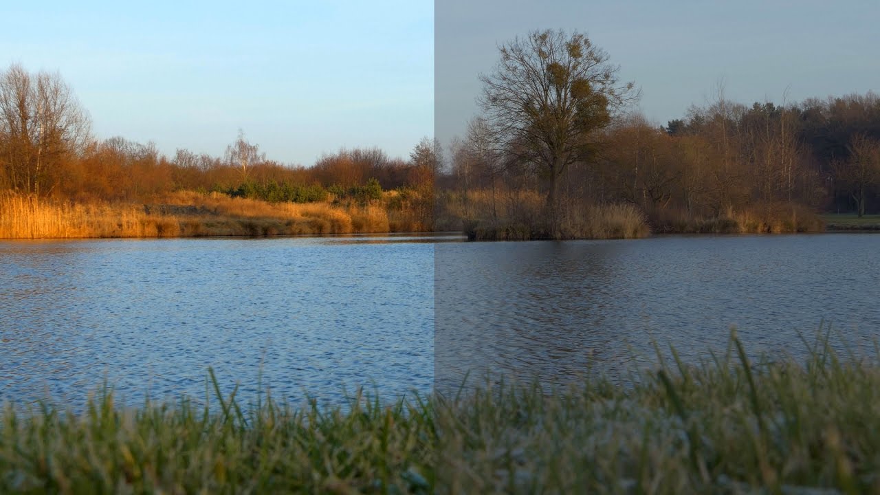 Сине-D, Сине-V и ТМП с Lumix DMC FZ2500 / FZ2000 цветокоррекции Альтернатива V-Log L