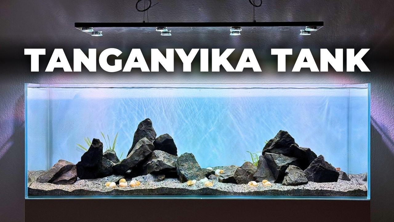 My First Tanganyika Cichlid Tank Setup | 192L African Aquarium