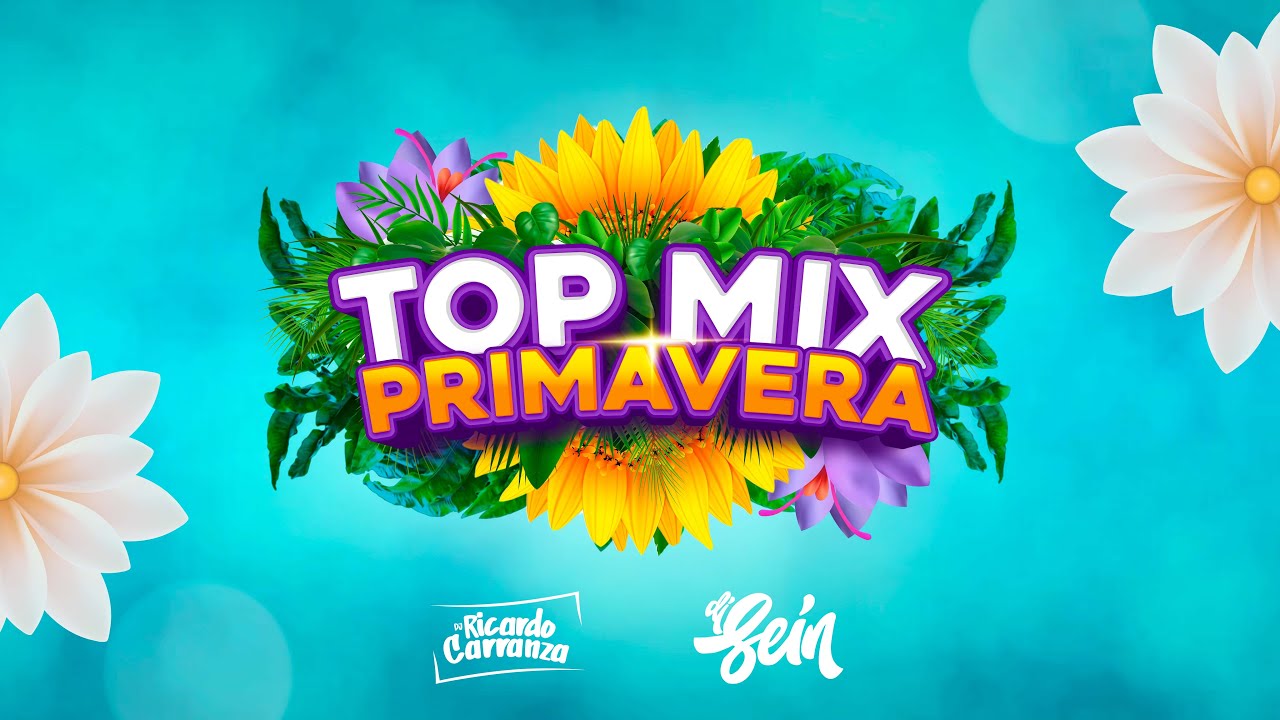 TOP MIX PRIMAVERA   DJ SEIN FT  @RicardoCarranzaDJ (Prohividox, Gatubela, Baby Otaku)