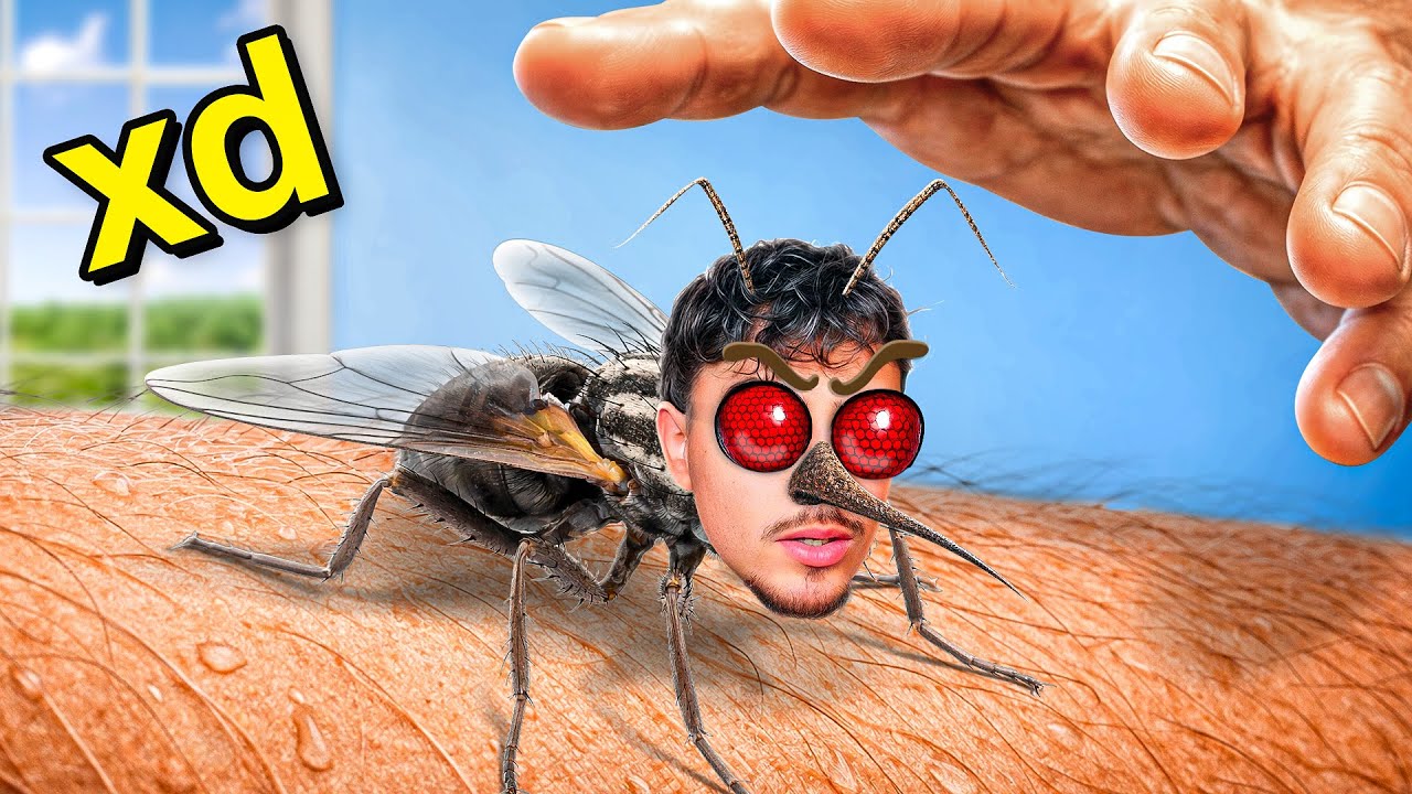 Jugué un 