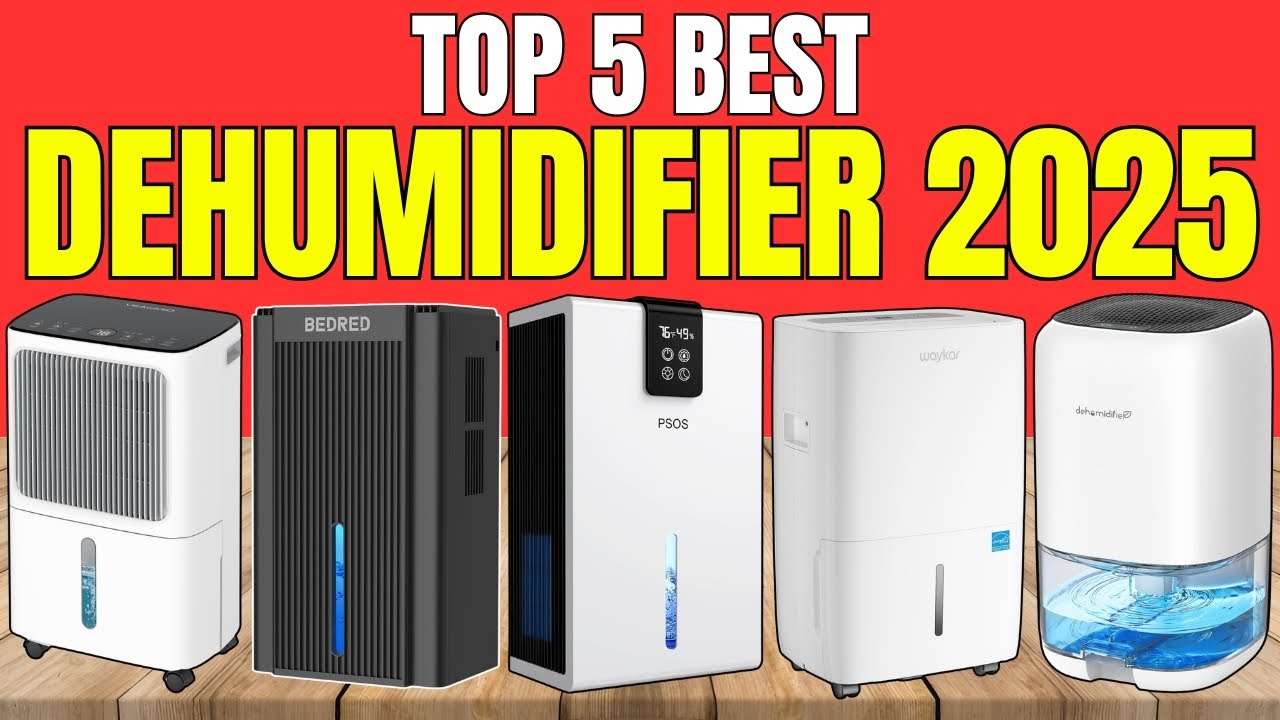 Best Dehumidifier 2025 – Which One Should You Buy?