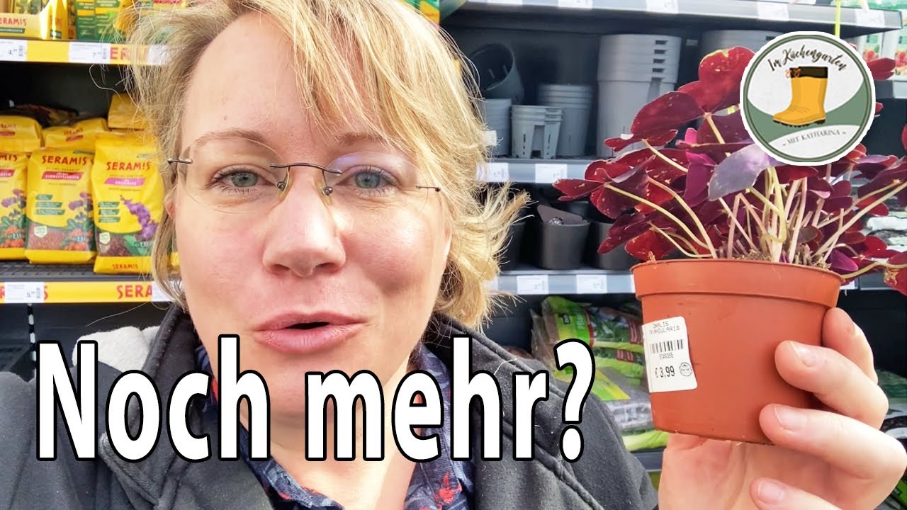 🌼🌵 Zimmerpflanzen MONTAG #9 | Eigentlich brauche ich nicht noch mehr Zimmerpflanzen...