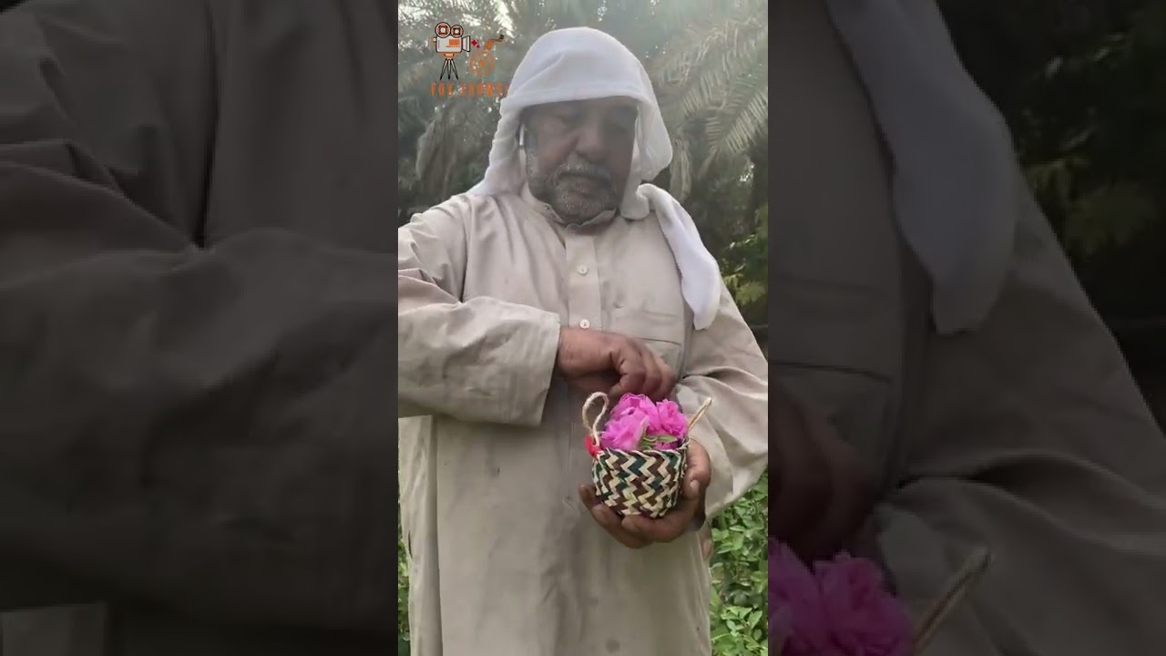 أكبر مزرعة ورد في محافظة الأحساء وصاحبها عبدالعظيم المطلق