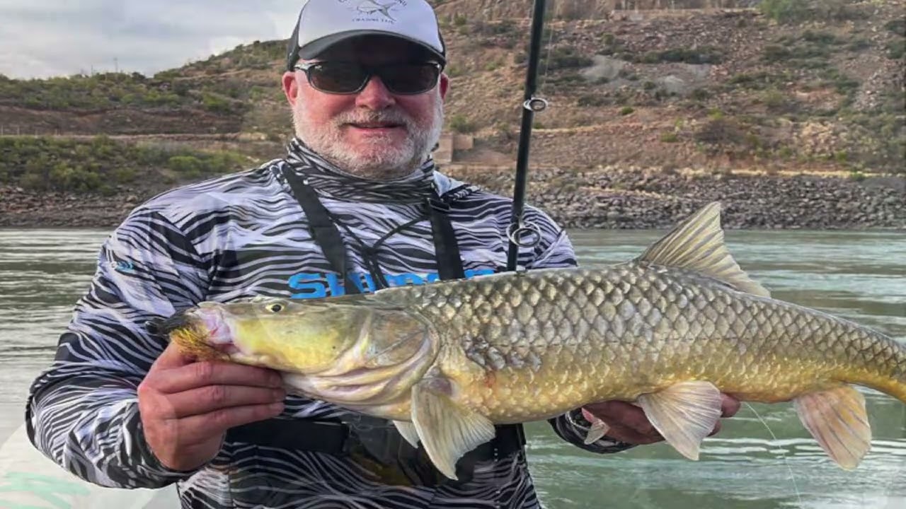 Largemouth Yellowfish Orange River light tackle fishing Large Mouth Yellowfish