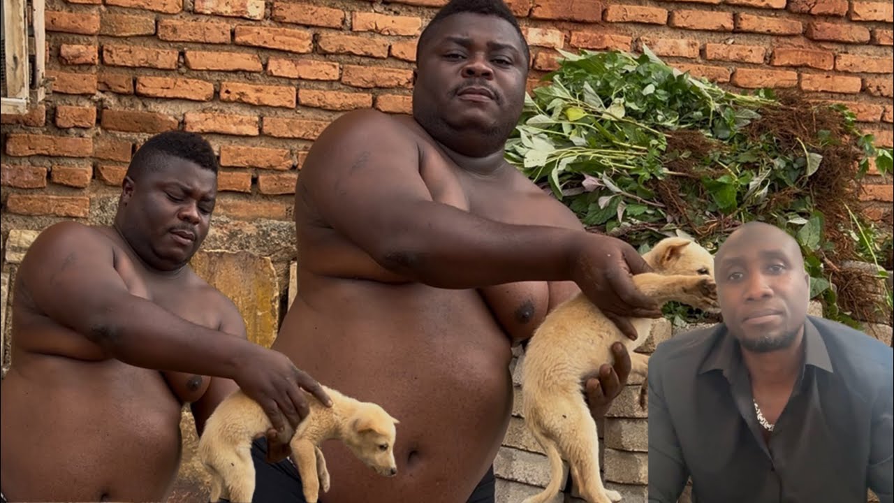 Ikigarasha Badrama Ntaho gitaniye niyimbwa Kasuku Nibondo abaze ntakinya 