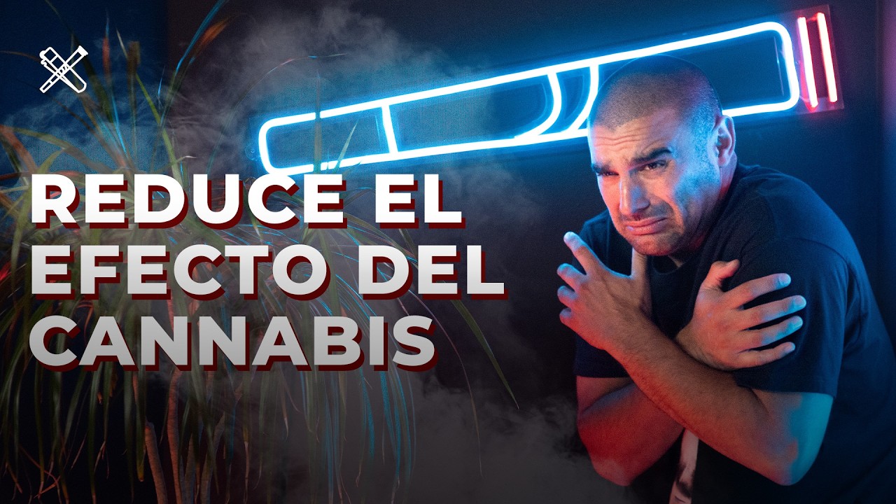 FORMAS PARA REDUCIR EL EFECTO DE LA M*RIHU*N*