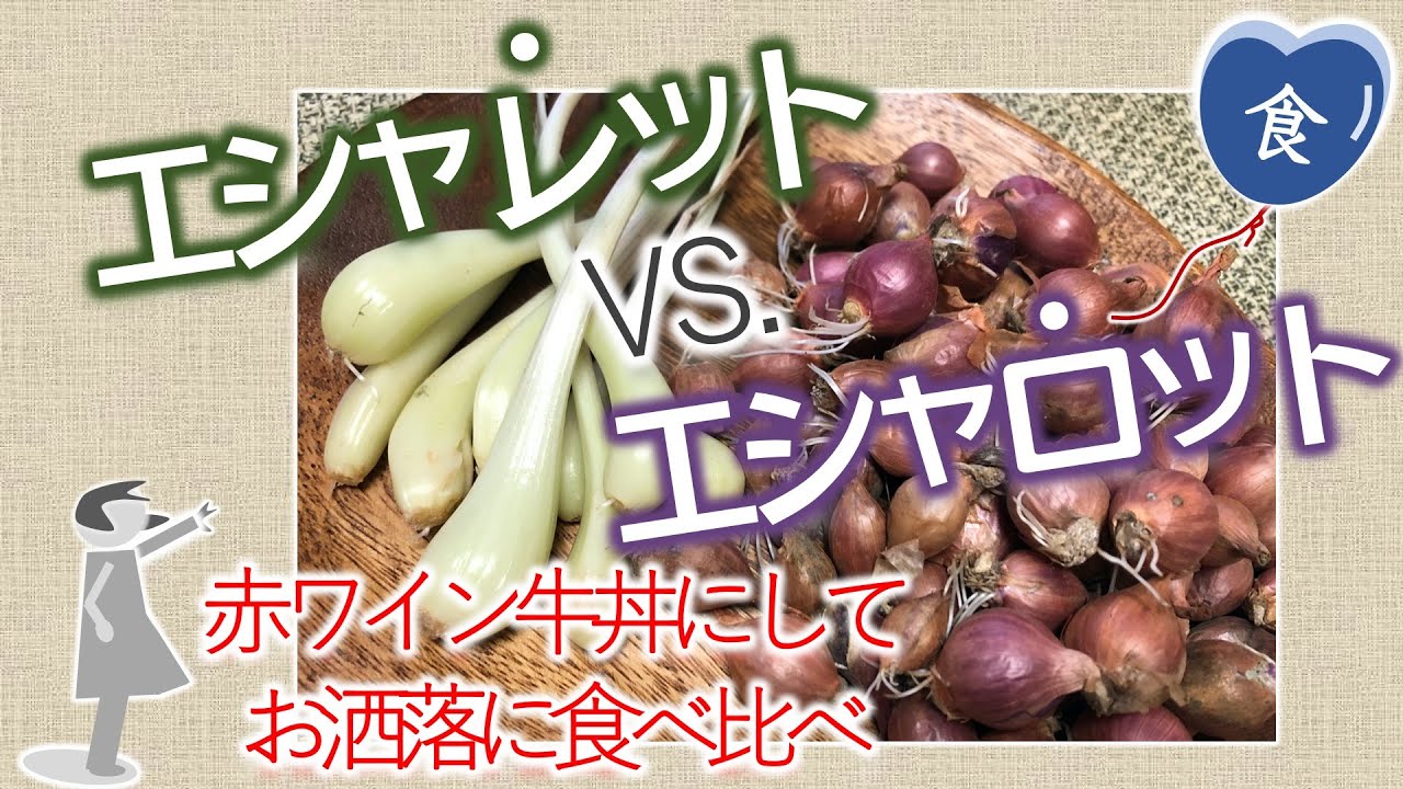 [完全版]エシャロット牛丼vsエシャレット牛丼 Eschalot beef bowl VS. Eschalet beef bowl